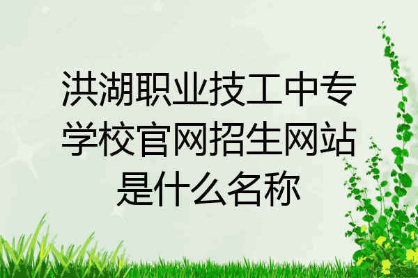 洪湖职业技工中专学校官网招生网站是什么名称