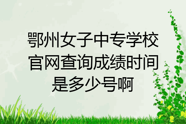 鄂州女子中专学校官网查询成绩时间是多少号啊