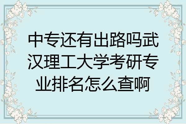 中专还有出路吗武汉理工大学考研专业排名怎么查啊