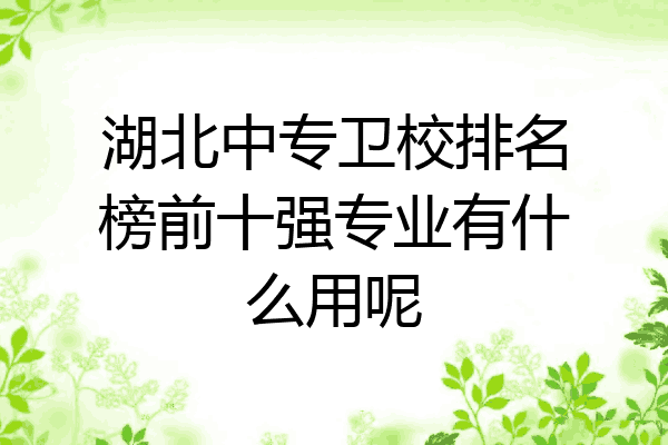 湖北中专卫校排名榜前十强专业有什么用呢