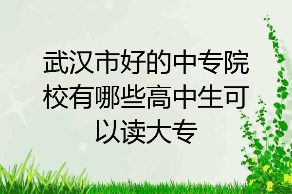 武汉市好的中专院校有哪些高中生可以读大专