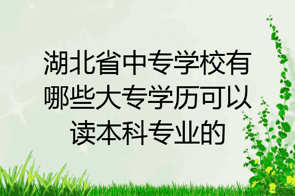 湖北省中专学校有哪些大专学历可以读本科专业的