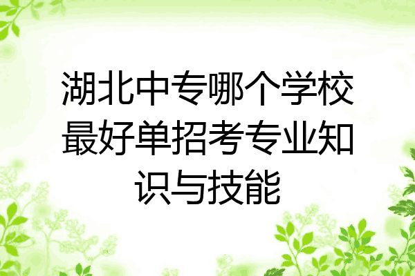 湖北中专哪个学校最好单招考专业知识与技能