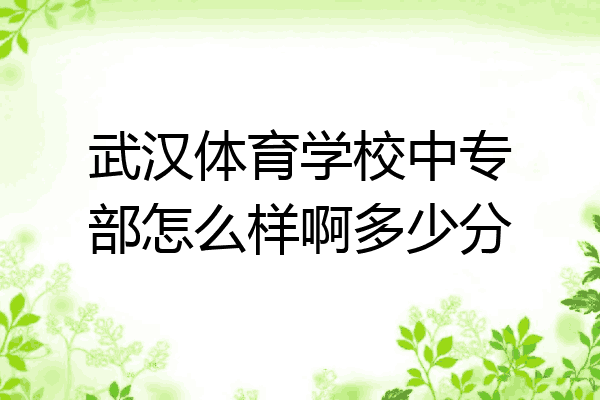 武汉体育学校中专部怎么样啊多少分