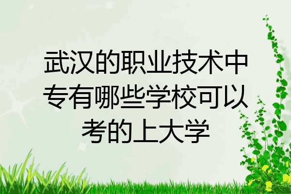武汉的职业技术中专有哪些学校可以考的上大学