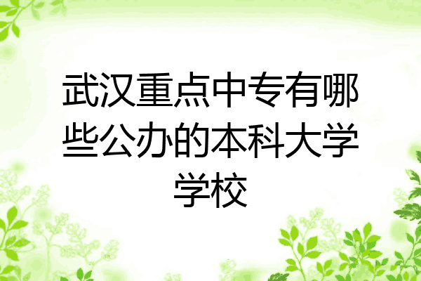 武汉重点中专有哪些公办的本科大学学校
