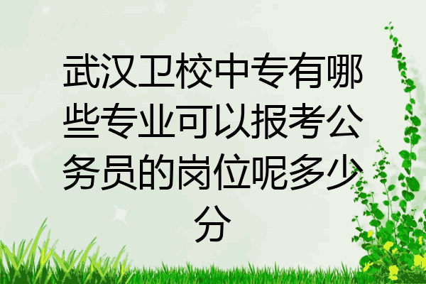 武汉卫校中专有哪些专业可以报考公务员的岗位呢多少分