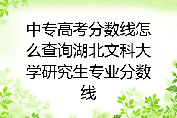 中专高考分数线怎么查询湖北文科大学研究生专业分数线