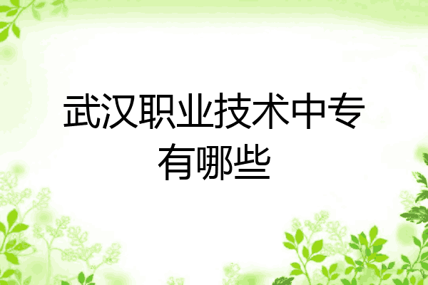武汉职业技术中专有哪些