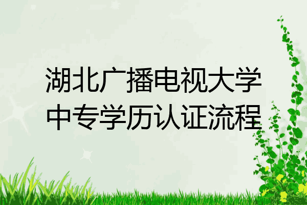 湖北广播电视大学中专学历认证流程