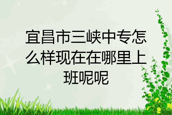 宜昌市三峡中专怎么样现在在哪里上班呢呢