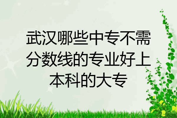 武汉哪些中专不需分数线的专业好上本科的大专
