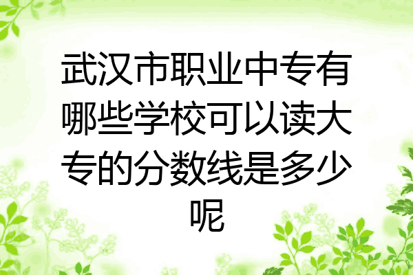 武汉市职业中专有哪些学校可以读大专的分数线是多少呢