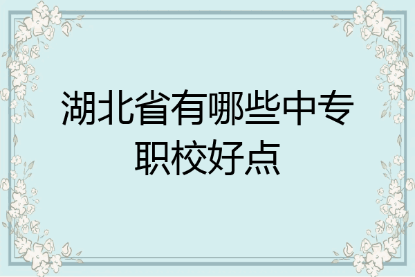 湖北省有哪些中专职校好点