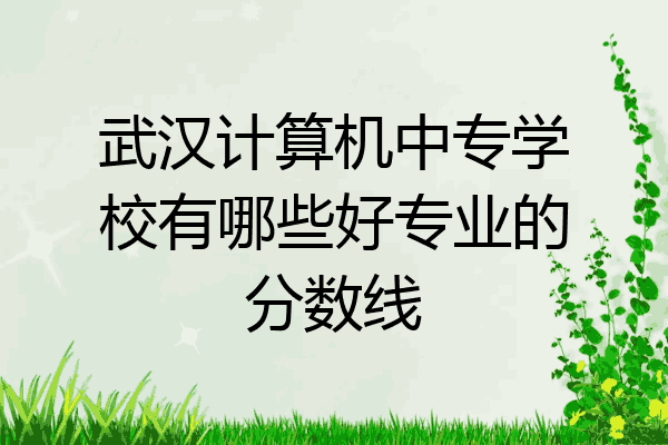 武汉计算机中专学校有哪些好专业的分数线
