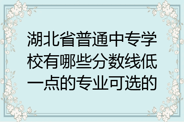 湖北省普通中专学校有哪些分数线低一点的专业可选的