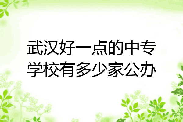 武汉好一点的中专学校有多少家公办