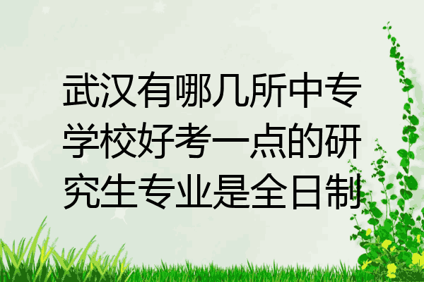 武汉有哪几所中专学校好考一点的研究生专业是全日制