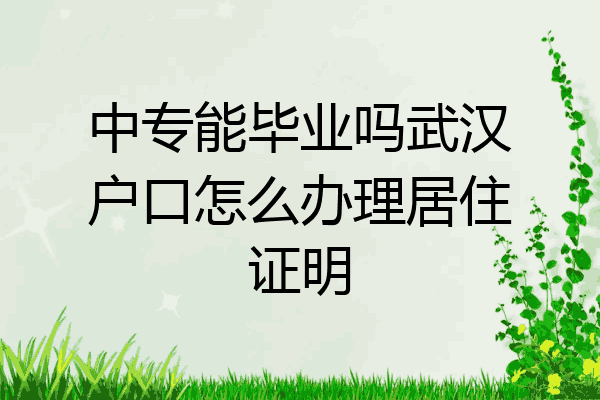 中专能毕业吗武汉户口怎么办理居住证明