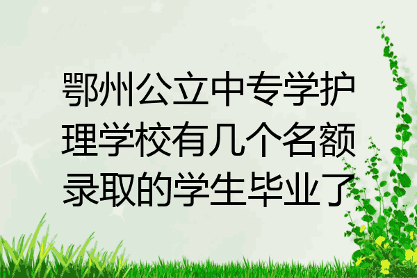 鄂州公立中专学护理学校有几个名额录取的学生毕业了