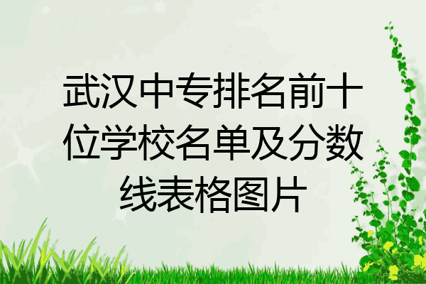 武汉中专排名前十位学校名单及分数线表格图片
