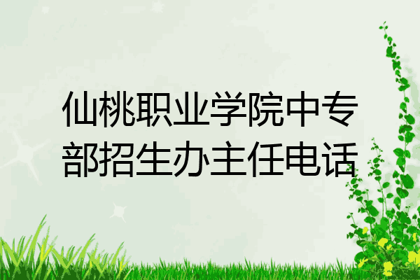 仙桃职业学院中专部招生办主任电话