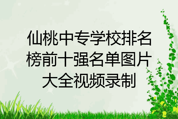 仙桃中专学校排名榜前十强名单图片大全视频录制