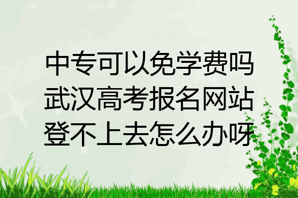 中专可以免学费吗武汉高考报名网站登不上去怎么办呀