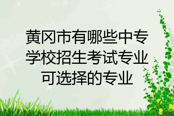 黄冈市有哪些中专学校招生考试专业可选择的专业