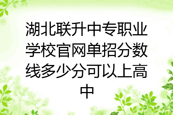 湖北联升中专职业学校官网单招分数线多少分可以上高中