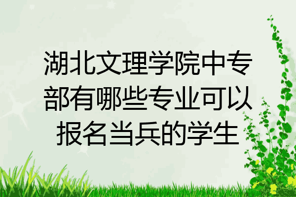 湖北文理学院中专部有哪些专业可以报名当兵的学生