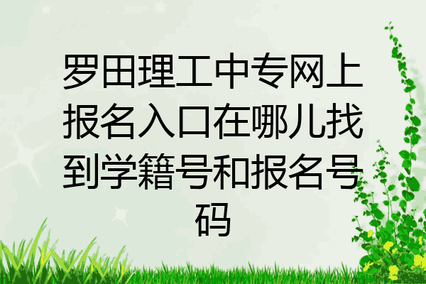 罗田理工中专网上报名入口在哪儿找到学籍号和报名号码