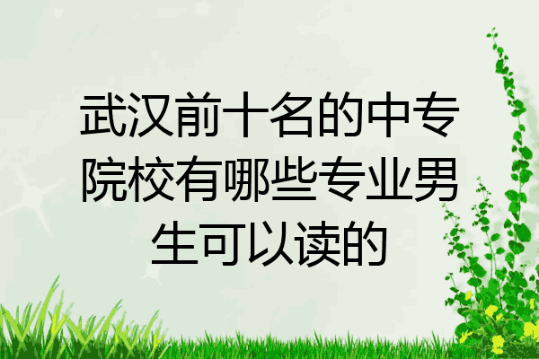 武汉前十名的中专院校有哪些专业男生可以读的