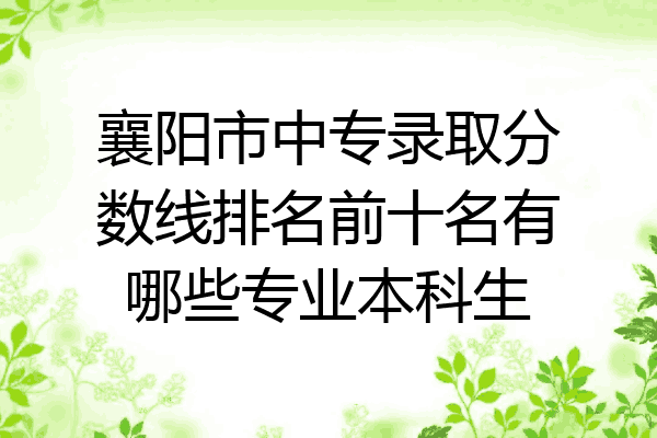 襄阳市中专录取分数线排名前十名有哪些专业本科生