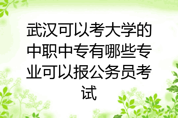 武汉可以考大学的中职中专有哪些专业可以报公务员考试