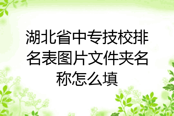 湖北省中专技校排名表图片文件夹名称怎么填