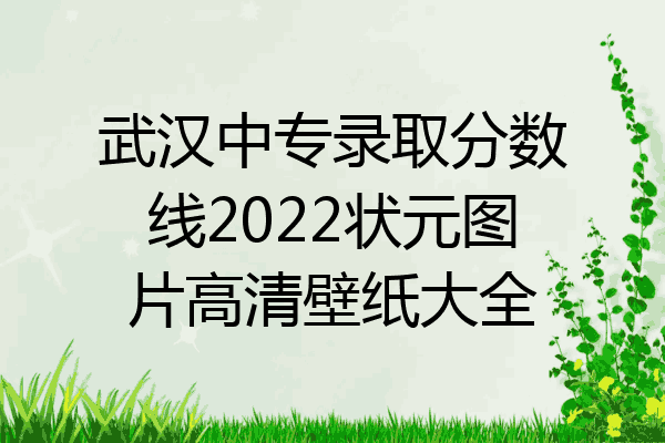 武汉中专录取分数线2022状元图片高清壁纸大全