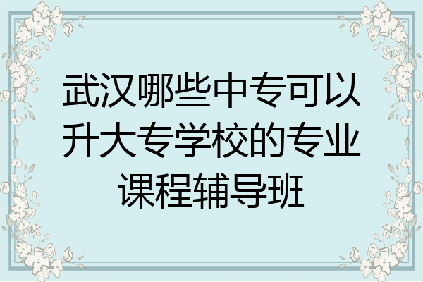 武汉哪些中专可以升大专学校的专业课程辅导班