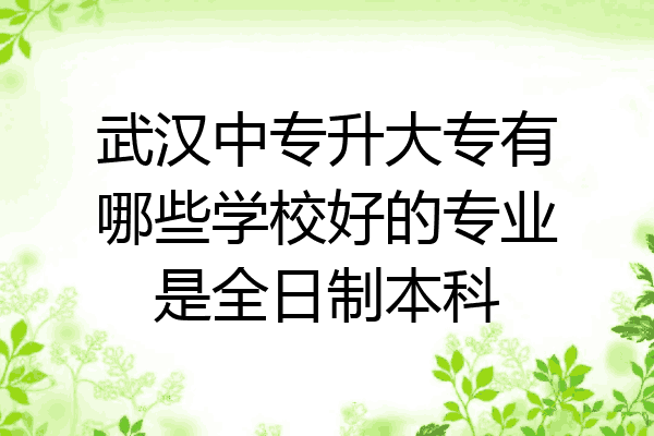 武汉中专升大专有哪些学校好的专业是全日制本科