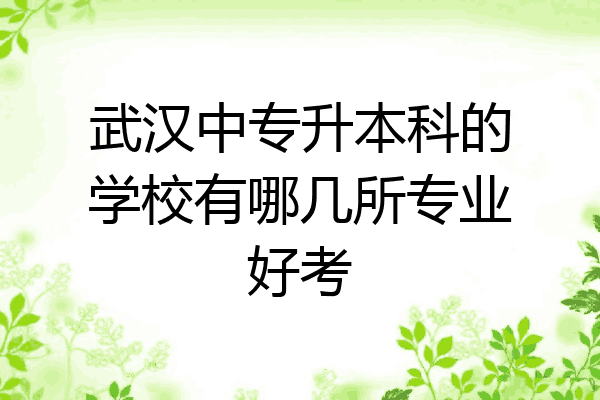 武汉中专升本科的学校有哪几所专业好考