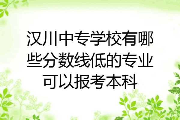汉川中专学校有哪些分数线低的专业可以报考本科