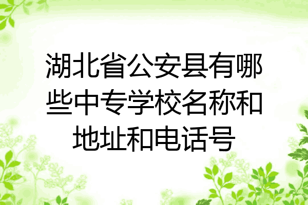 湖北省公安县有哪些中专学校名称和地址和电话号