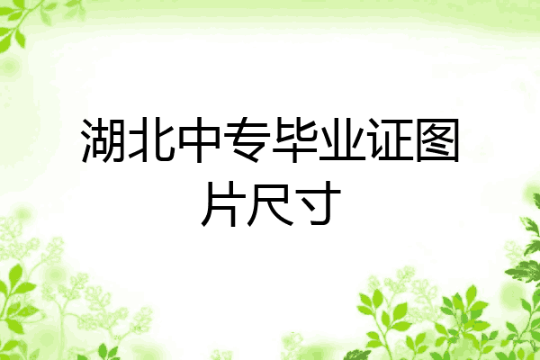 湖北中专毕业证图片尺寸