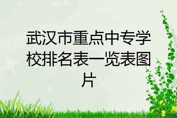 武汉市重点中专学校排名表一览表图片