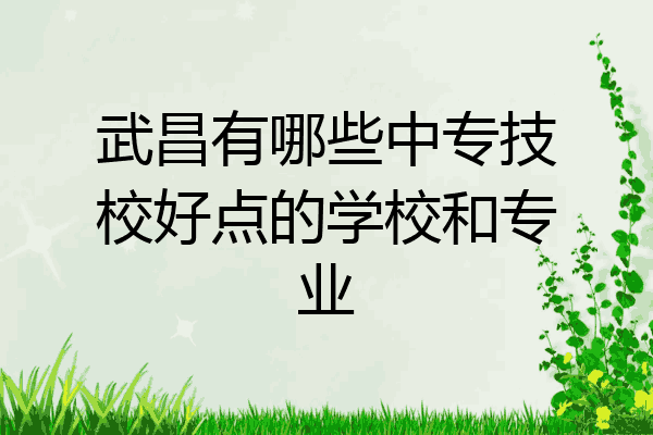 武昌有哪些中专技校好点的学校和专业