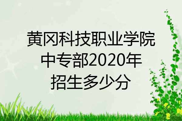 黄冈科技职业学院中专部2020年招生多少分