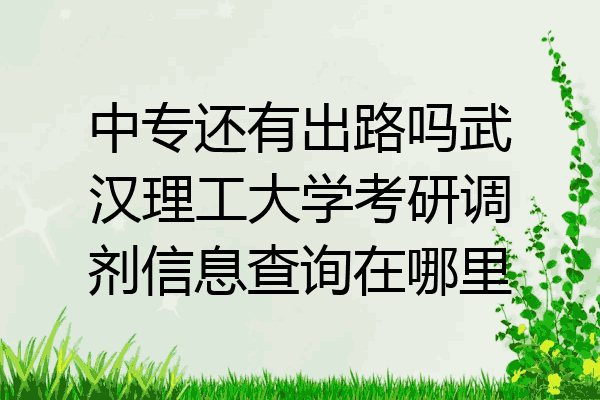 中专还有出路吗武汉理工大学考研调剂信息查询在哪里