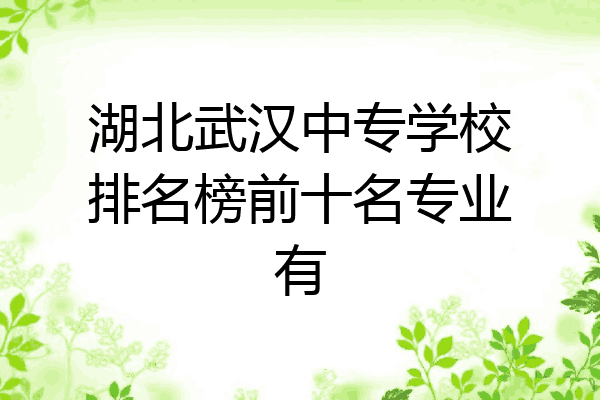 湖北武汉中专学校排名榜前十名专业有
