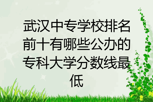 武汉中专学校排名前十有哪些公办的专科大学分数线最低