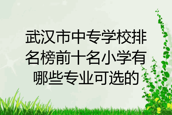 武汉市中专学校排名榜前十名小学有哪些专业可选的